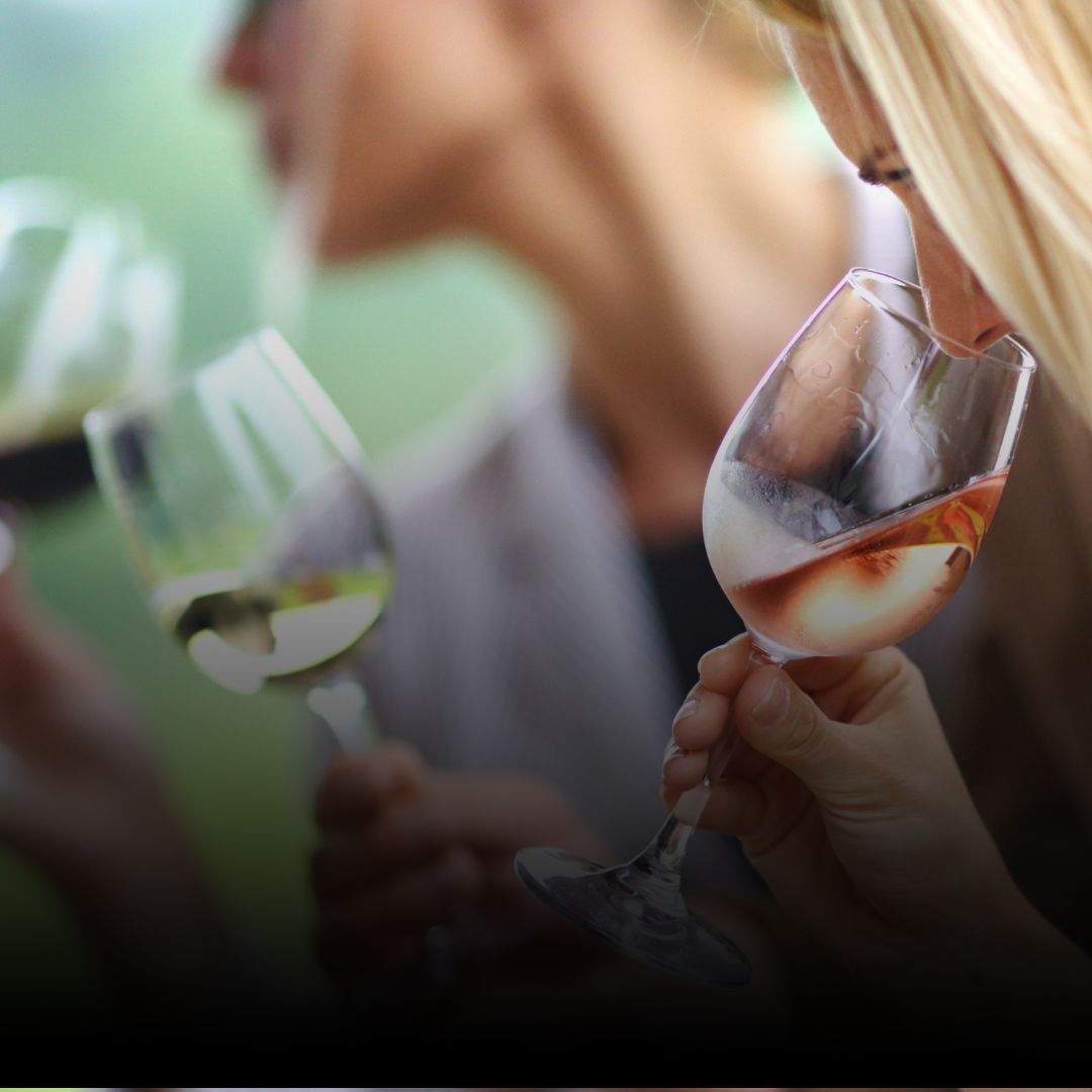 Curso de Cata de Vinos